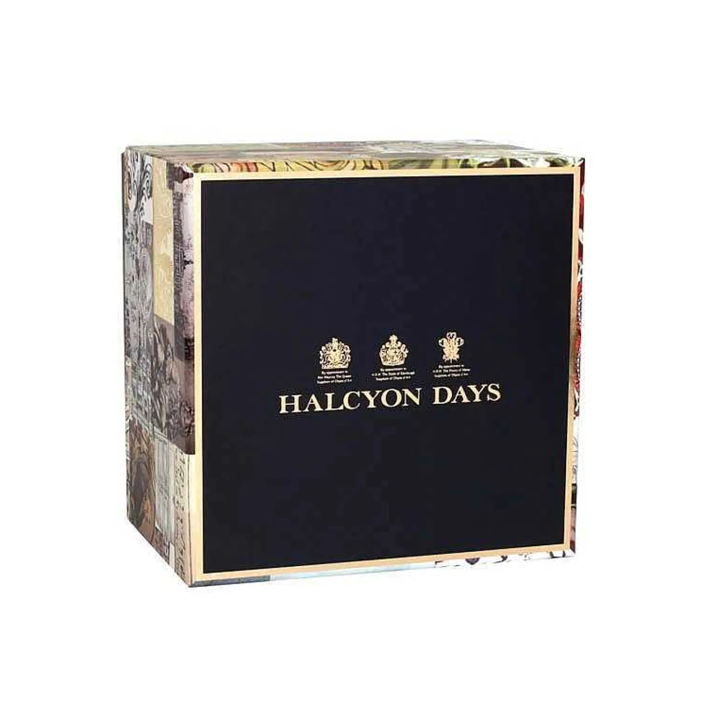 Halcyon Days Teaware*Shell Garden Teacup & Saucer